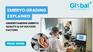 Embryo Grading: Understanding Embryo Culturing and Grading in IVF Labs