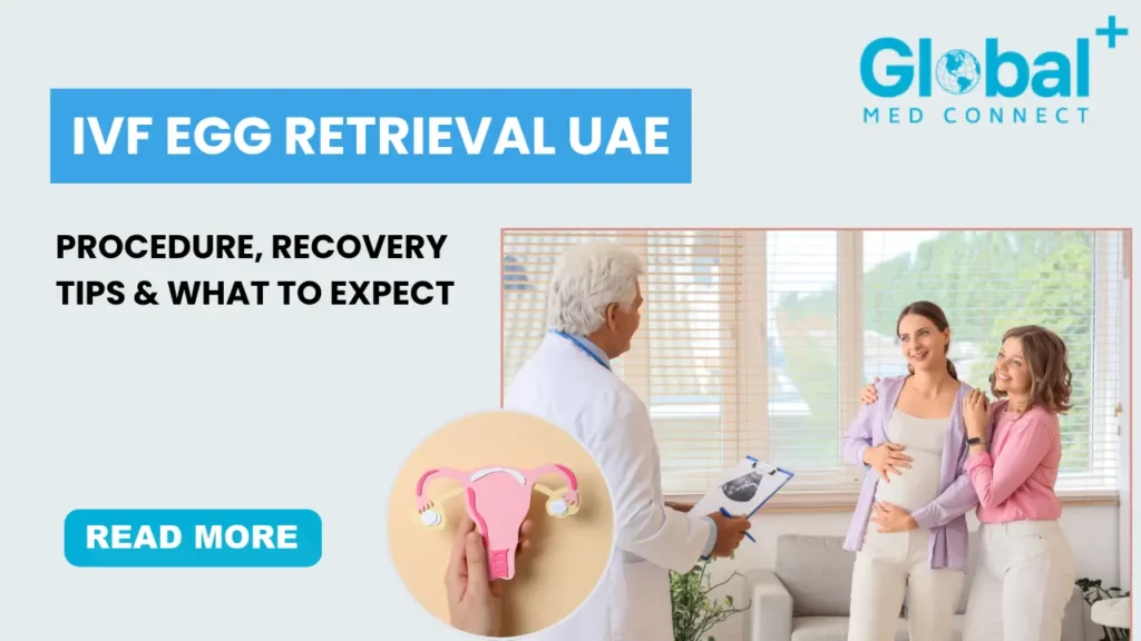 Female patient consulting a fertility specialist during IVF egg retrieval UAE treatment with procedure and recovery guidance by Global Med Connect